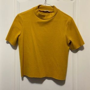 Short-sleeve turtle neck